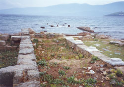 ����������������� ��������, �������� ����� ���� ������ ����