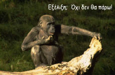 �������; ��� ��� �� ����!